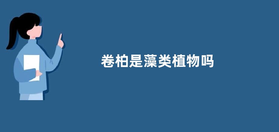 卷柏是藻类植物吗