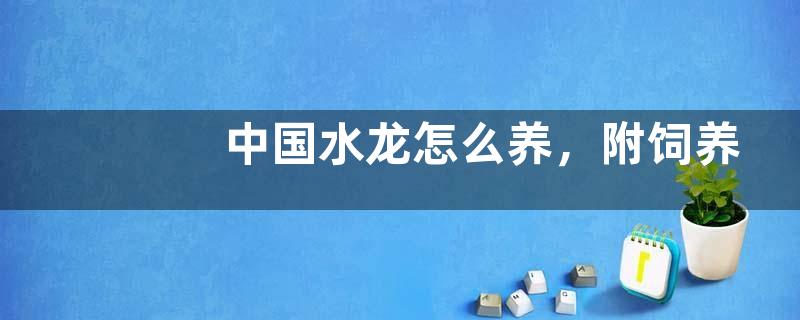 中国水龙怎么养，附饲养环境和食品的选择