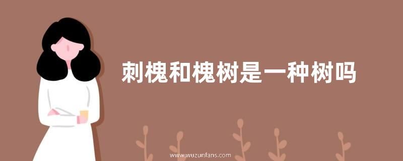 刺槐和槐树是一种树吗