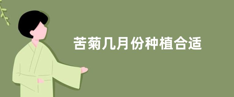 苦菊几月份种植合适