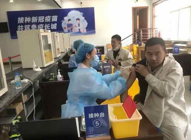 序贯接种和同源接种哪个更好(序贯接种和同源接)