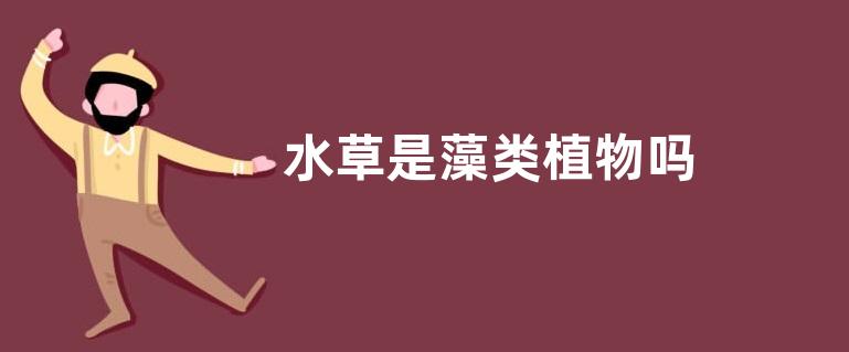 水草是藻类植物吗
