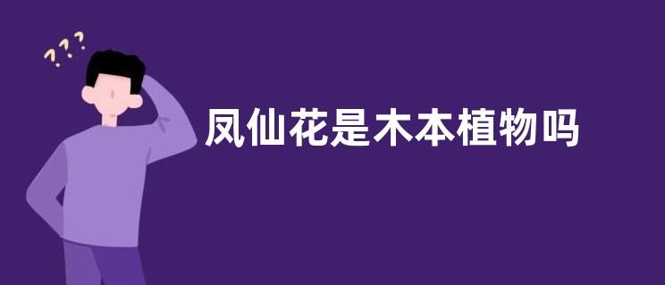 凤仙花是木本植物吗