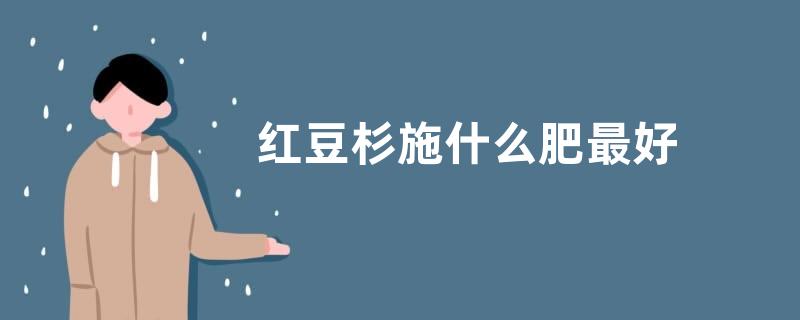 红豆杉施什么肥最好