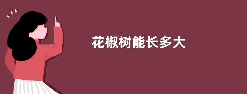 花椒树能长多大
