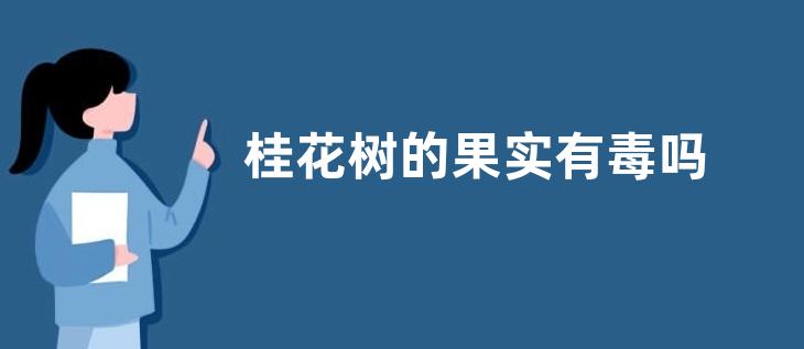 桂花树的果实有毒吗