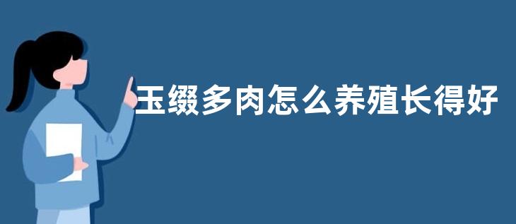 玉缀多肉怎么养殖长得好