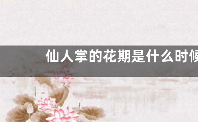 仙人掌的花期是什么时候