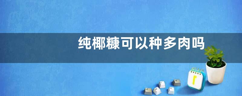 纯椰糠可以种多肉吗