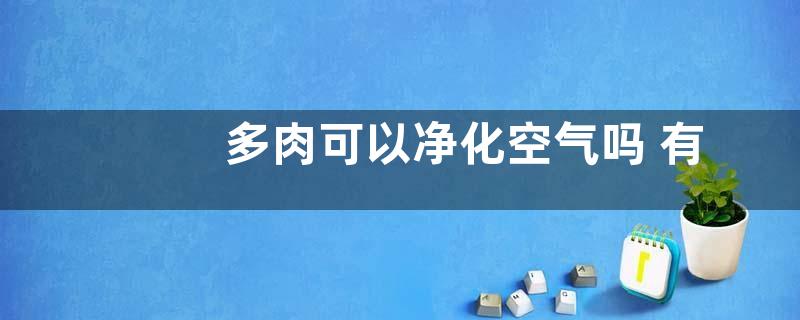 多肉可以净化空气吗 有吸甲醛的作用吗
