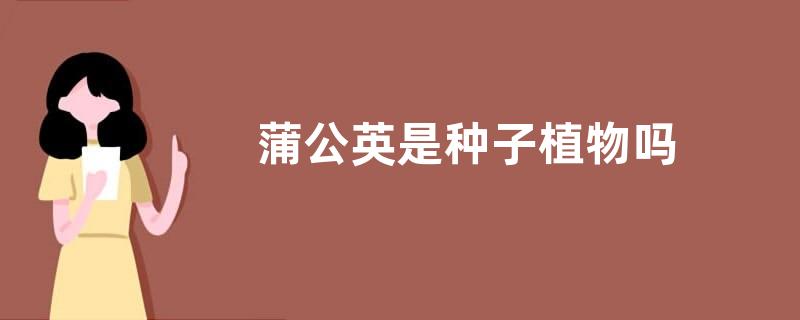蒲公英是种子植物吗