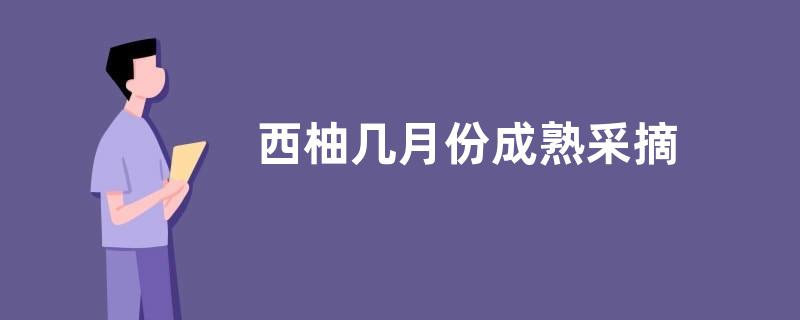 西柚几月份成熟采摘