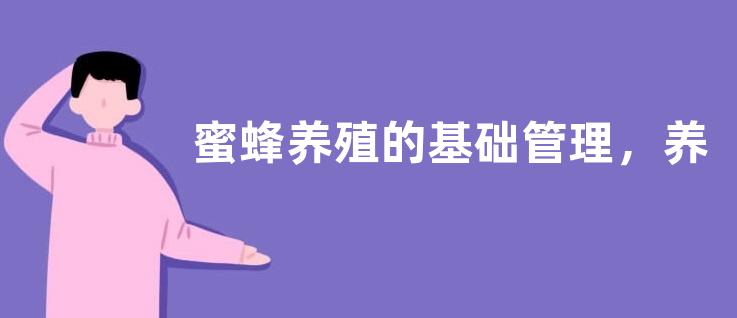 蜜蜂养殖的基础管理，养蜂场地如何选择