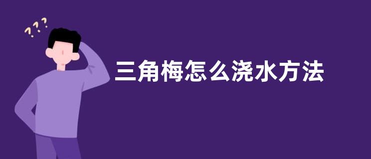 三角梅怎么浇水方法