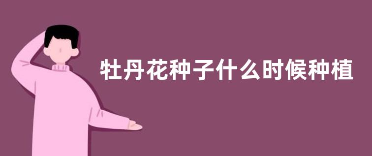牡丹花种子什么时候种植最好