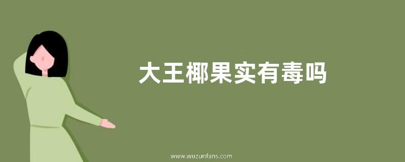 大王椰果实有毒吗