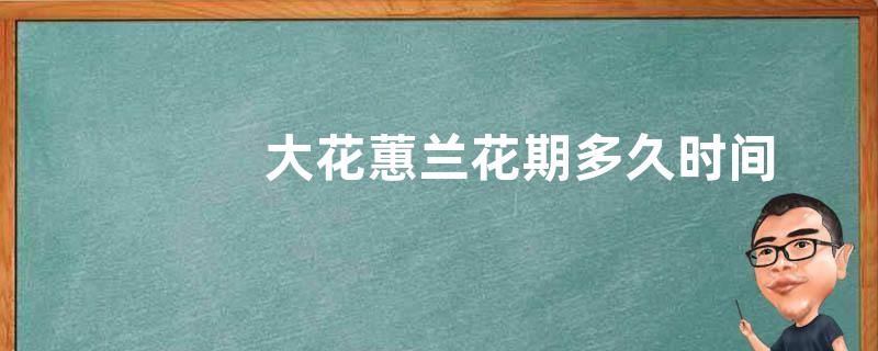 大花蕙兰花期多久时间
