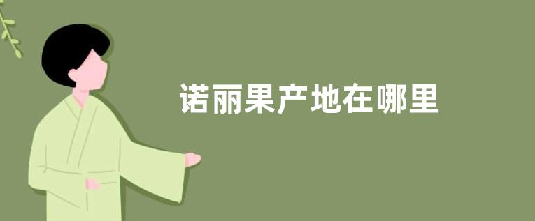 诺丽果产地在哪里