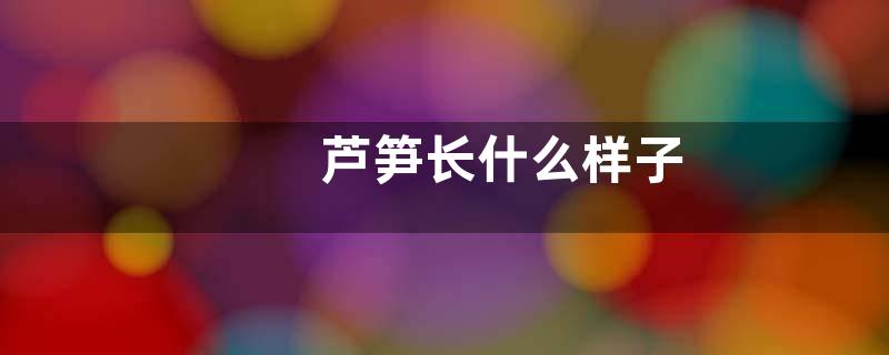 芦笋长什么样子
