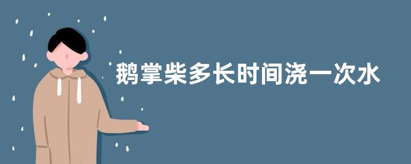 鹅掌柴多长时间浇一次水 几天浇水一次合适