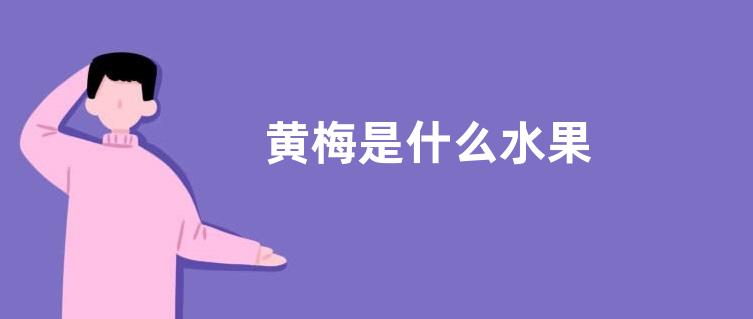 黄梅是什么水果