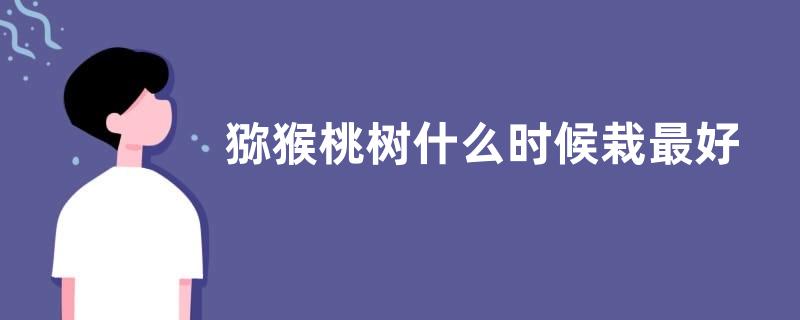 猕猴桃树什么时候栽最好 栽植最佳时间