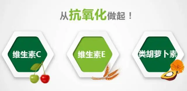 抗氧化是什么意思-简短介绍