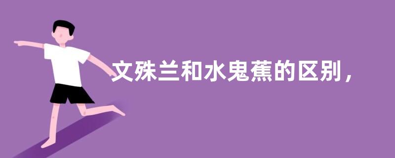 文殊兰和水鬼蕉的区别，附简介