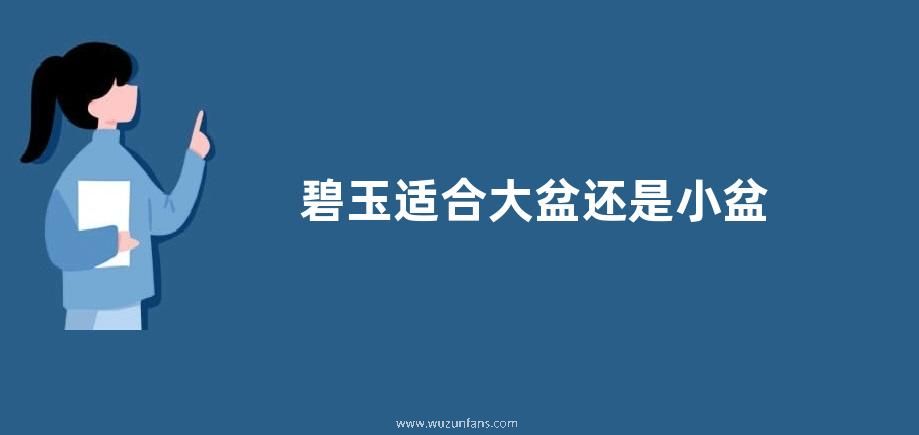 碧玉适合大盆还是小盆