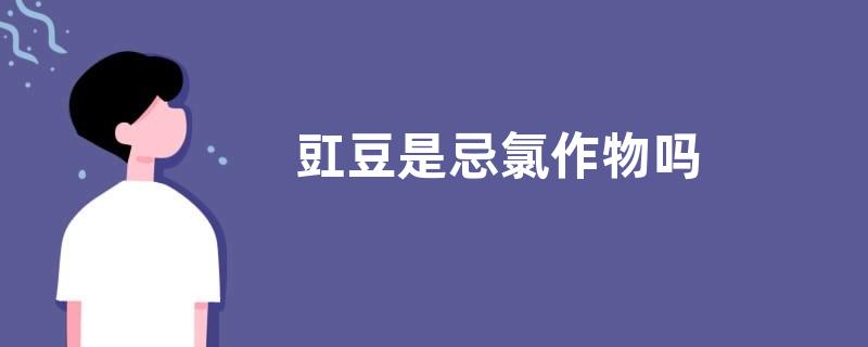 豇豆是忌氯作物吗