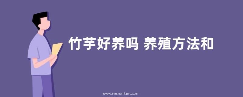 竹芋好养吗 养殖方法和养护要点