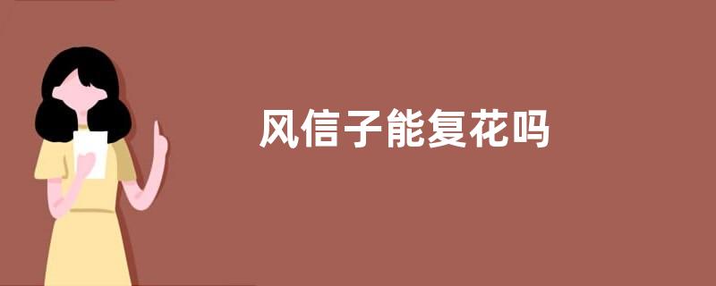 风信子能复花吗