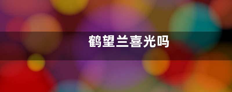 鹤望兰喜光吗