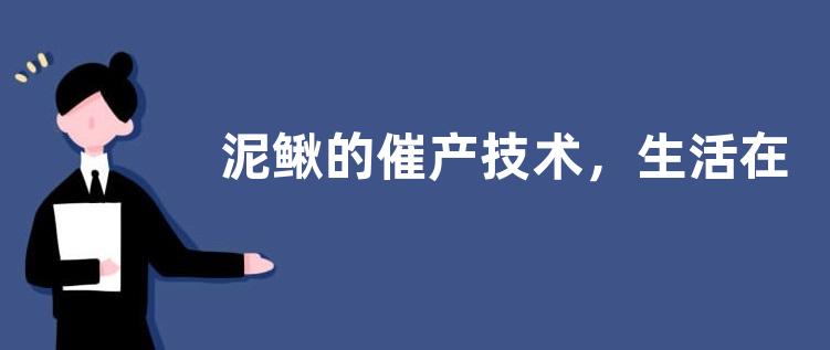 泥鳅的催产技术，生活在淤泥底的静止或缓流水体内