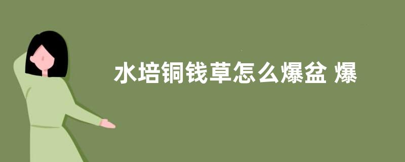 水培铜钱草怎么爆盆 爆盆养殖方法