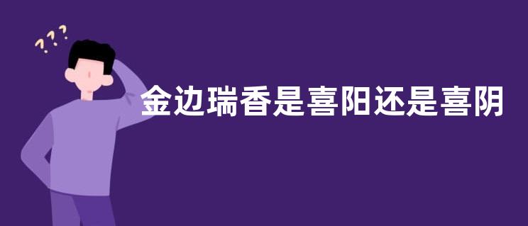 金边瑞香是喜阳还是喜阴