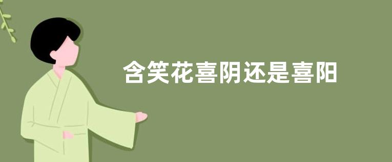 含笑花喜阴还是喜阳