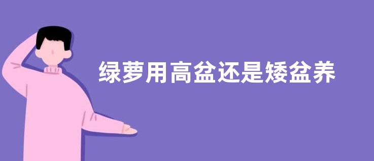 绿萝用高盆还是矮盆养 用大盆养好还是小盆养好