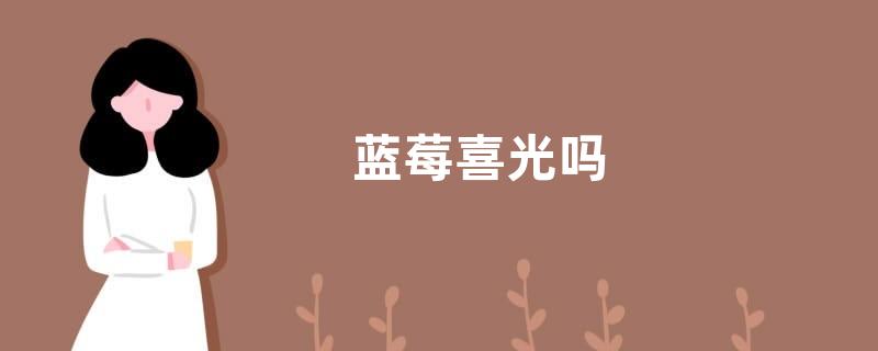 蓝莓喜光吗