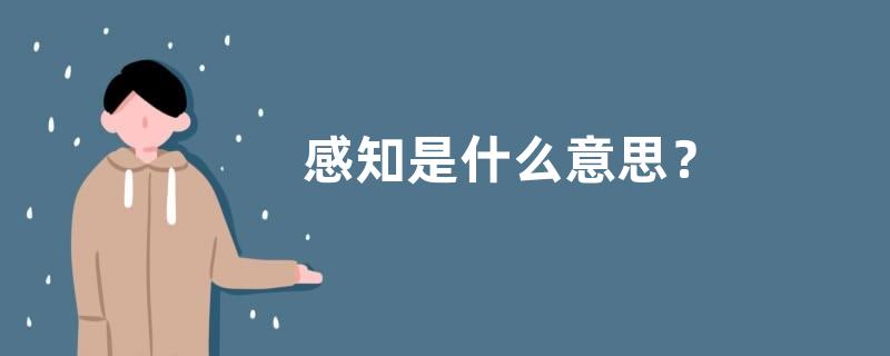 感知是什么意思？