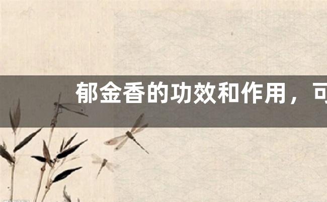 郁金香的功效和作用，可作药材使用