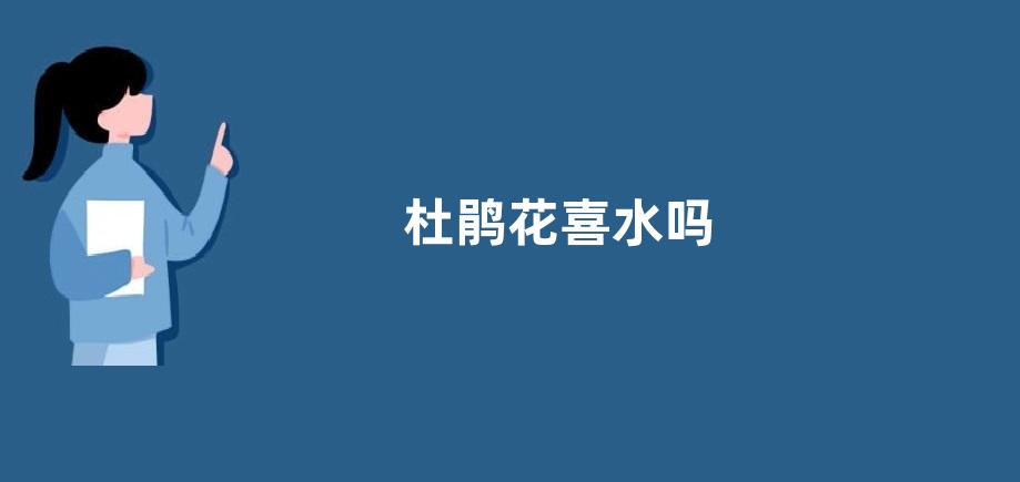 杜鹃花喜水吗