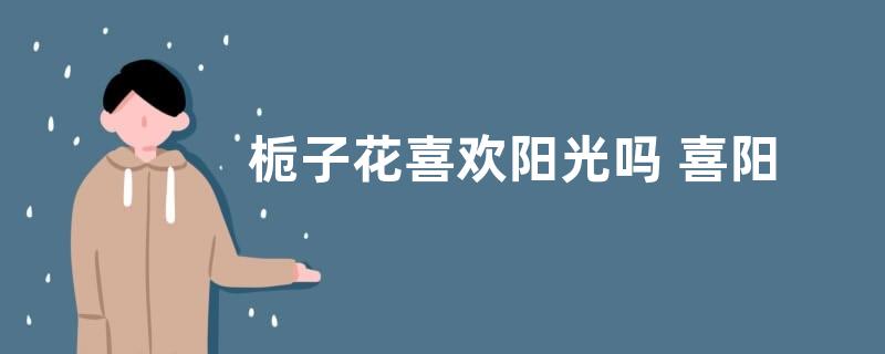 栀子花喜欢阳光吗 喜阳还是喜阴