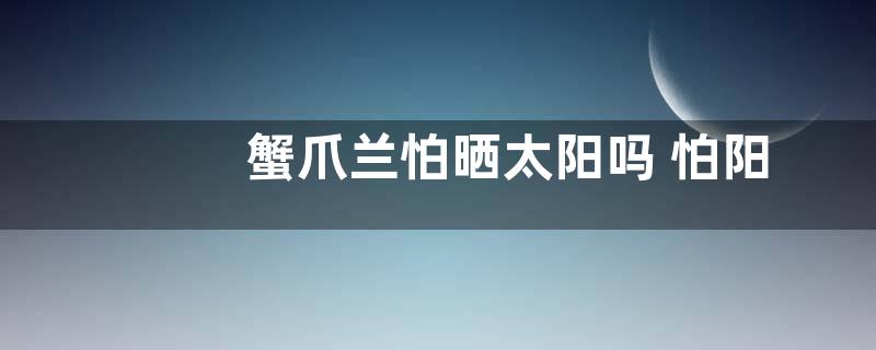 蟹爪兰怕晒太阳吗 怕阳光照射吗
