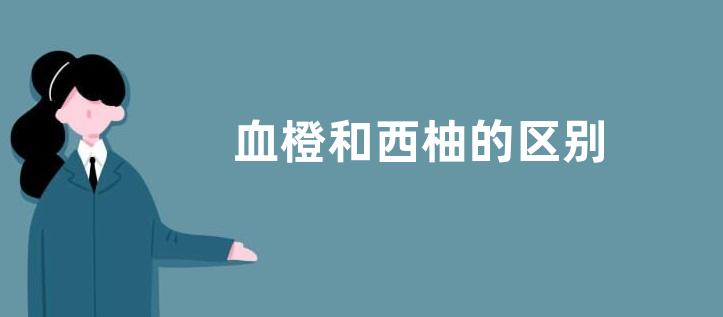 血橙和西柚的区别