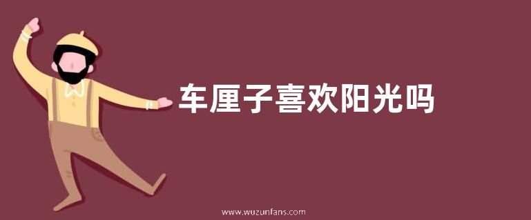 车厘子喜欢阳光吗