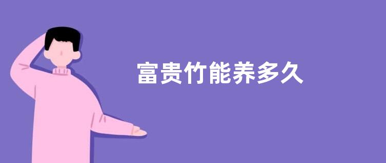 富贵竹能养多久