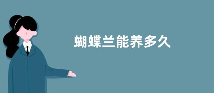 蝴蝶兰能养多久