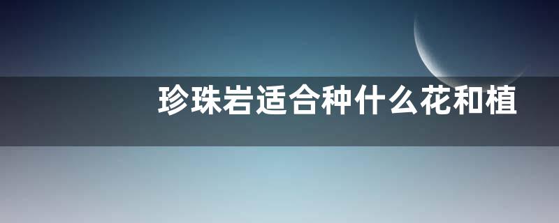珍珠岩适合种什么花和植物
