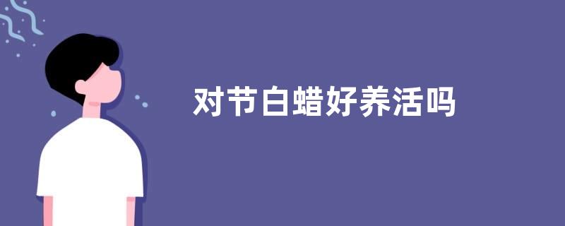 对节白蜡好养活吗